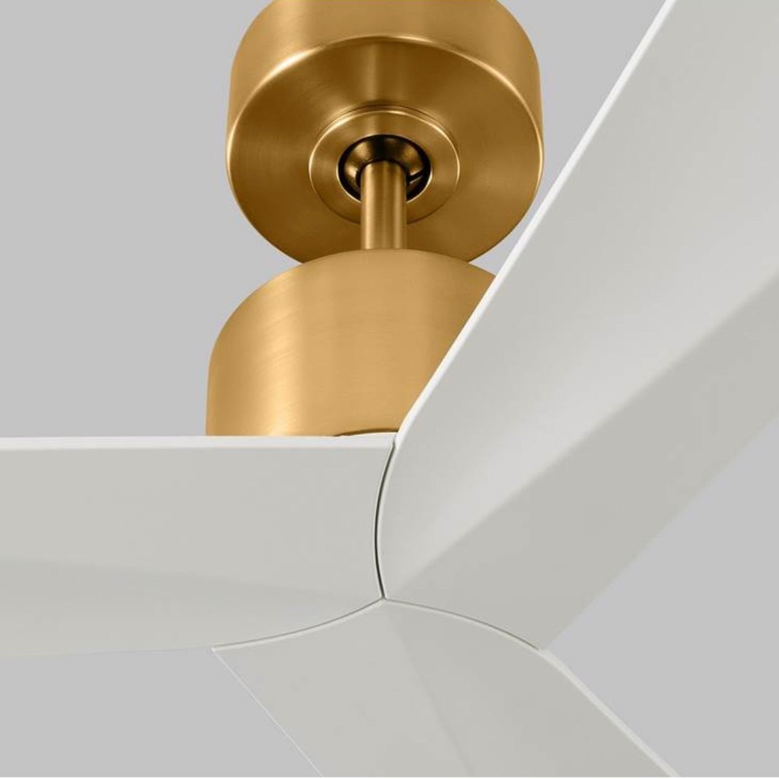 Visual Comfort Fan Collection | Monte Carlo 52” Adler Fan in Burnished Brass