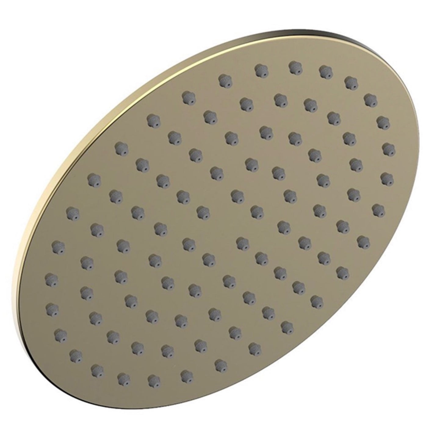 Phylrich | Basic II 8" Wall Mount Single-Function Showerhead Only, Pol Brass